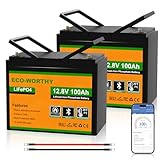 ECO-WORTHY 12V 200Ah (2 pack 100Ah) LiFePO4 Lithium Bluetooth Battery with Low-Temp Protection, Built-in BMS, Up to 15000+ Life Deep Cycles, Perfect for RV, Marine, Motorhome, Household Battery