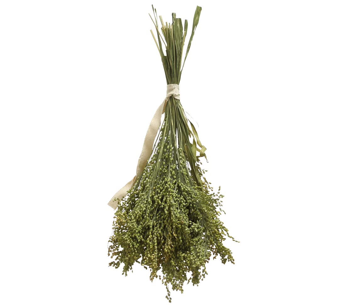 Dehner Best Nature - Bocadillo para pájaros, 100% Natural, para periquitos, Canarios, Aves Ornamentales, 10 x 50 g (500 g)