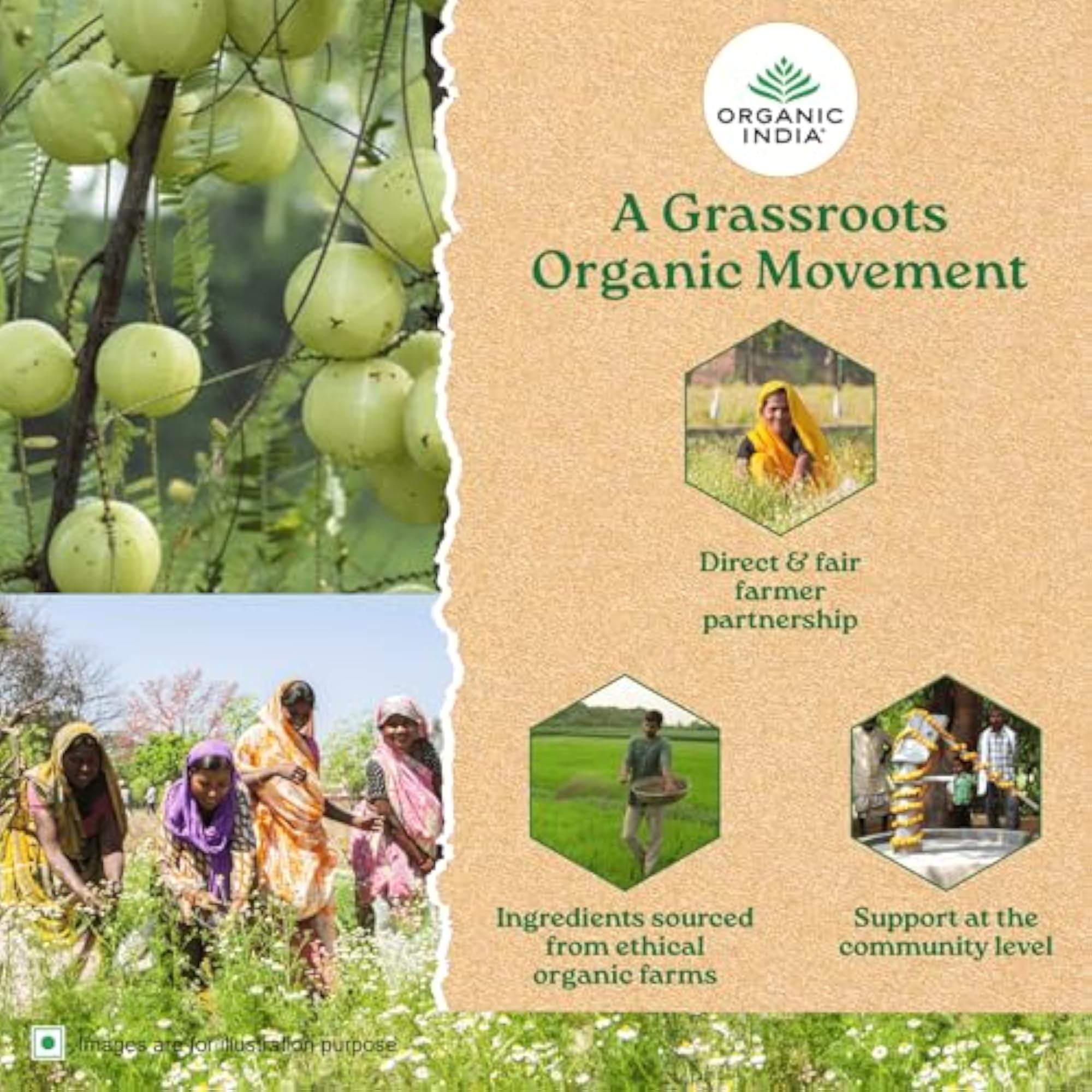 A TATA Product - Organic Moringa Capsules