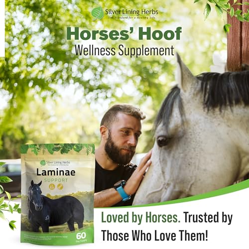 Silver Lining Herbs Laminae Support Horse Supplements Laminitis & Founder Support for Horse - Supporting Mobility, Sore Feet, Soft Foot Tissue & Better Coat - Herbal Hoof Supplements for Horses - 1 LB - Thumbnail 6
