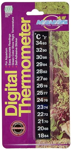 Kw Zone Sticking Digital Thermometer (Blister Card)