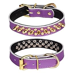 haoyueer Adjustable Genuine Leather Spiked Studded Dog Collars for Small Medium Large Pets Like Pit Bull Bulldog Pugs Husky (L, Purple2)