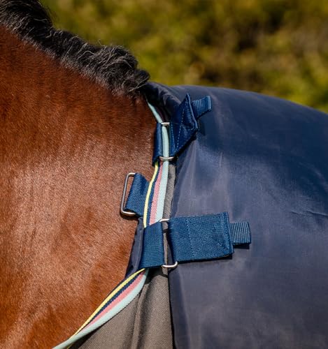 Couverture cheval Amigo Bravo 12 Plus M 250g imperméable chaud - 5