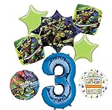Teenage Mutant Ninja Turtles 3rd Birthday Party Supplies and TMNT Balloon Bouquet Decorations