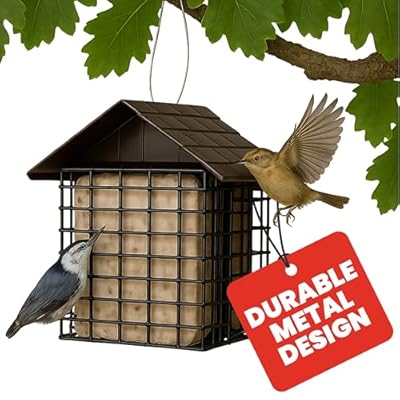 More Birds Double Suet Feeder with Weather Guard, 6.5" L X 4.25" W X 7.25" H, Brown