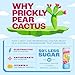 Pricklee Natural Hydration Drink – Prickly Pear – Electrolytes + Antioxidants, Low Sugar, No Artificial Sweeteners – Non-Carbonated, Caffeine-Free – Cactus Water-Based (12 oz cans, 12 pack)