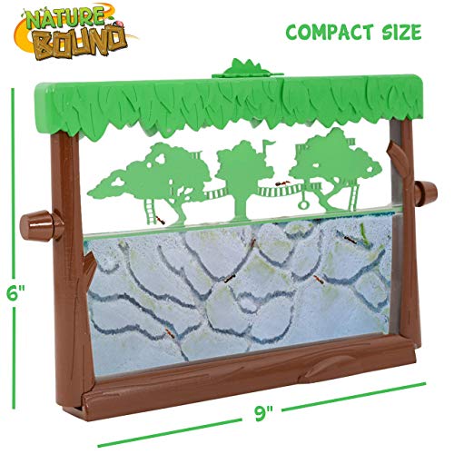 Nature Bound Toys Ant Treehouse Habitat Kit with Sand, Connector Tube, Feeding Stick & Insect Instructions - Image 6