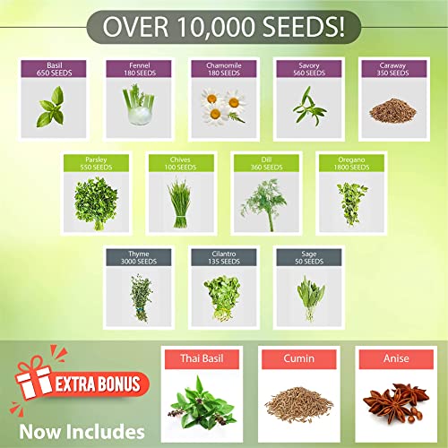 Naturez Edge 15 Herb Seeds Variety Pack, 6000+ Heirloom Seeds For Planting Hydroponic Indoor Or Outdoor Home Garden Plant Seed, Parsley, Cilantro, Basil, Thyme, Chamomile, Oregano, Dill & More Nongmo #TOP1
