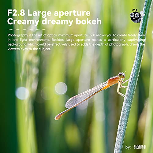 Ttartisan 40Mm F2.8 Macro Aps-C Frame Lens Manual Focus Camera Lenses Leica L/Sigma L Mount Compatible Model Like Leica：t、Tl、Tl2、Cl、Sigma：fp（Camera Settings: Aps-C Mode） #TOP6