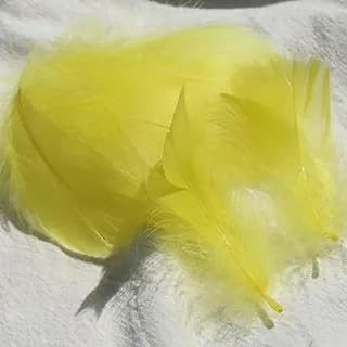 100 piezas de plumas pequeñas de 4 a 8 cm para decoración de escenario, color amarillo