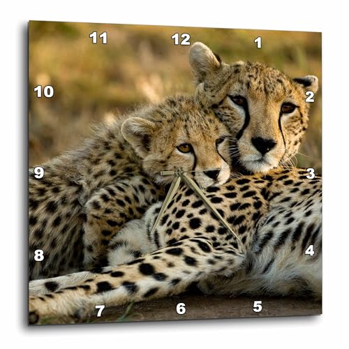 3dRose Cheetah with Cub in The Masai Mara Gr, Kenya-AF21 JMC0167 Joe and Mary Ann McDonald Wall Clock, 15 by 15"