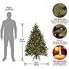 National Tree Company 4.5 ft Pre-Lit Downswept Douglas Fir Artificial Christmas Tree, 450 Clear Lights, 525 Tips, Includes Stand, Green
