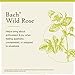 Bach Original Flower Remedies, Wild Rose - Show Enthusiasm - Natural Homeopathic Flower Essence for Emotional Balance - Vegan, Gluten Free, Sugar Free - 20mL Dropper