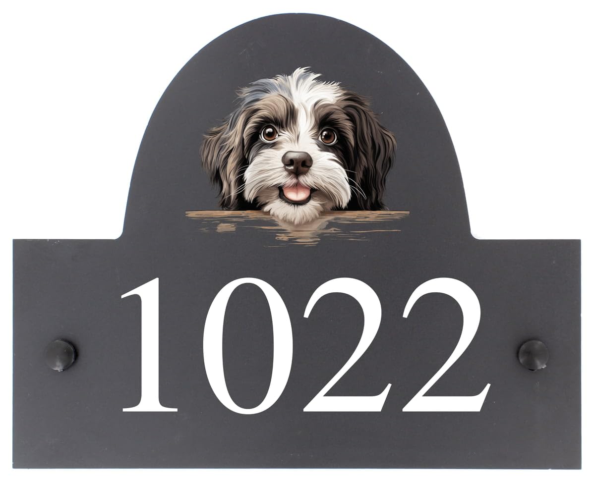 Targa personalizzabile con nome o numero civico in ardesia con cane Havanese, 25 x 20 cm