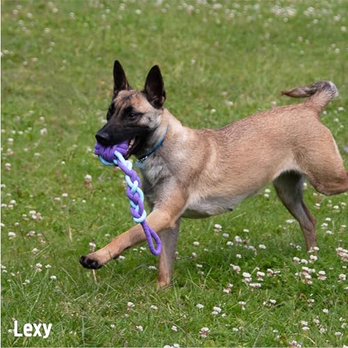 Rosewood Battersea Rope and Rubber Tug for Dogs - Blue and Purple Durable Interactive Toy, Large 38cm - Image 4