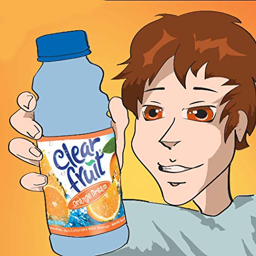 12 Pack Clear Fruit Water 20 Ounce Bottles Non Carbonated Water Beverage (Orange Dream)