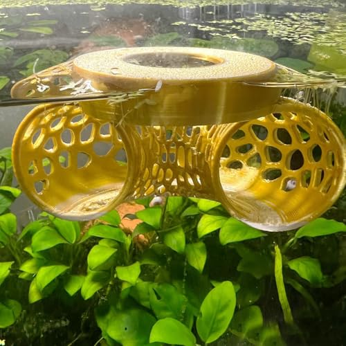 Image of Floating Betta Tunnel for Betta Training. Interactive Training & Enrichment Toy for Betta Fish - Stress Relief & Exercise Accessory, Floating Betta Fish Toys