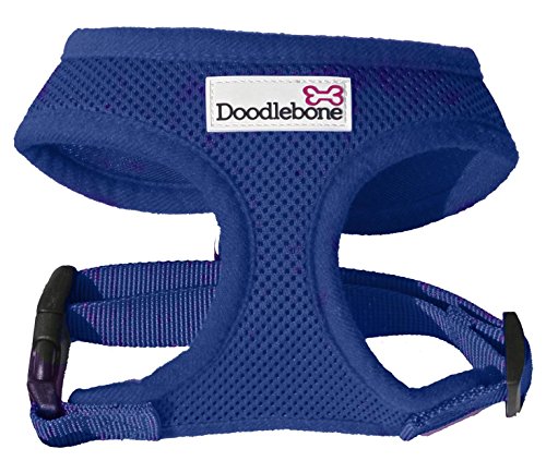 Doodlebone, morbida pettorina imbottita per cane