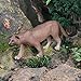 AENIMELY Mountain Lion Figurine – Realistic Solid Cougar Animal Figurines for Kids – Educational Wildlife Toy, Forest Science Learning Display, Nature Gift