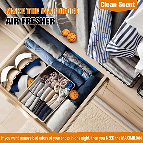 MAXIMILIAN Professional Shoe Deodorizer Balls | Shoe Fresheners Balls | Foot Odor Eliminator | Odor-Fighting Freshener for Neutralizing Odor and Refreshing Sneaker, Wardrobe, Bags3