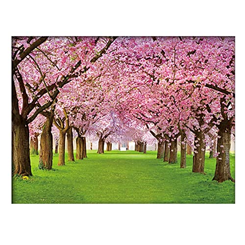 Landscape Tree 3D Poster Wall Art Decor Print ，Beautiful Nature Scene of Changing Four Seasons Spring Summer Fall Winter Scenery Mural，Optical Illusion Flipping Images and Holographic Pictures