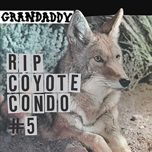 Coyote Rip Coyote Condo #5 (12\