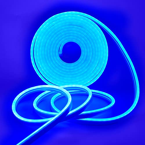 HEGEHE LED Blue Neon Rope Light, DC 5V 2835 120LEDs Waterproof Outdoor Silicone LED Strips,Indoor Flexible TV LED Backlight Light Strips with Touch Dimmer and Adapter for Party Christmas (1m/3.28ft)