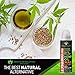 Hemp Pain Relief Roll On Gel, New More Potent Formula for 2020, Faster Acting, Longer Lasting Than Oil or Cream, Arthritis, Muscle, Joint & Back Pains. Acne Treatment. Cooling Topical Analgesic 3.3oz