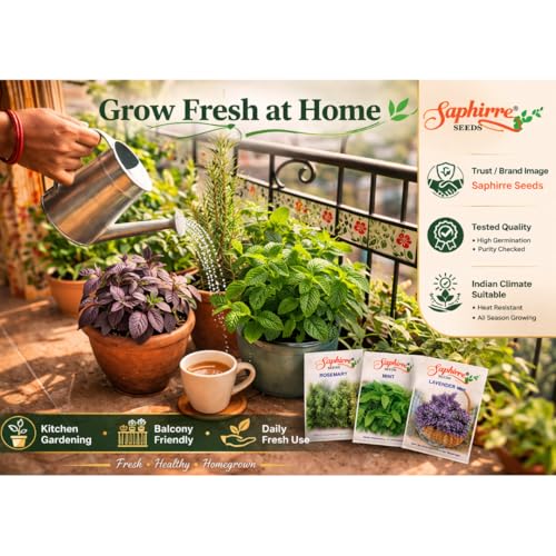 Image of Saphirre Seeds Herb Seeds Combo Pack | 8 Varieties | 950+ Seeds | Rosemary, Mint, Lavender, Tulsi, Red Basil, Parsley, Celery & Lettuce | High Germination | Easy to Grow for Home Gardening