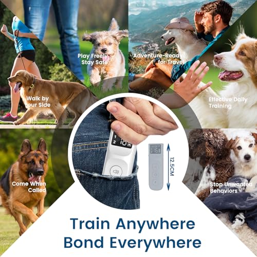 Dog Bark Collar - Rechargeable Remote Anti-Bark Training Collar with Beep/Tactile Modes, 16 Sensitivity Levels, 3300Ft Range, 2-Channel Memory - Humane for All Dog Breeds