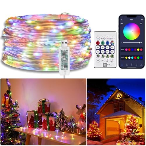 20M RGBIC Color Changing Fairy Lights,Waterproof LED Fairy Lights with Remote Control and APP,USB Music Sync LED Rope Light,Flexible LED Lights for Indoor,Outdoor,Bedroom,Christmas Wedding,Garden