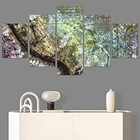 SIGNWIN 5 Panel Canvas Wall Art Abstract Aerial Contemporary Mixed Media Modern Art Multicolor Texture for Home Decorations Ready to Hang - 60