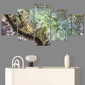 SIGNWIN 5 Panel Canvas Wall Art Abstract Aerial...