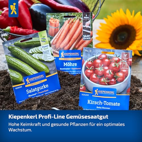 Kiepenkerl Profi-Line Paprikasamen Salma-Mini Rot® 1031240 - Nasch Paprika - kompakter Wuchs - extra- süße Früchte - Saatgut, Samen Gemüse, Gemüsepflanzen
