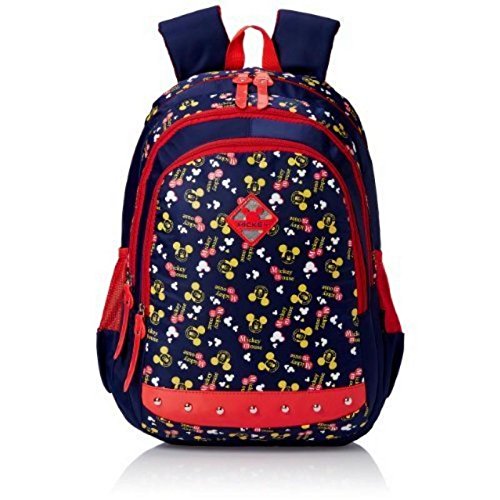Taiba Bag Nylon Girls College Bag (Multicolor, 18x14 Inch)