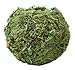 SuperMoss (29348) Kokedama Planter, 6