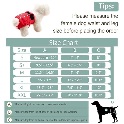Image of Washable Female Dog Diapers (5 Pack) - Doggie Reusable Small Medium Large Dog Diapers for Doggy Puppy Female in Period - Highly Absorbent Dog Heat Panties,S Plus,Red