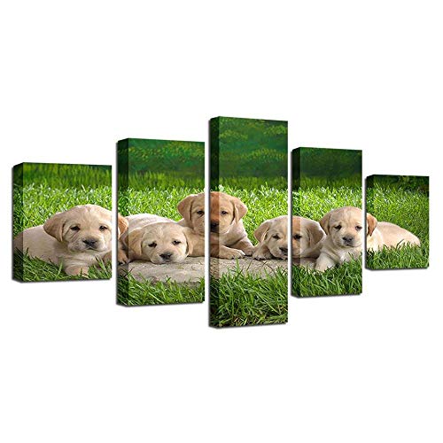 Toile chiots 5 pièces haute définition sans cadre pour grand habillage mural