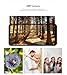 Vortex J24 Unlocked Smartphone, 6.5” HD+ Display, 4G LTE, Android 14, Octa-Core, 3GB RAM + 32GB Storage (Expandable 256GB), 3000mAh Battery, Dual SIM, Type-C, Includes Charger & Case