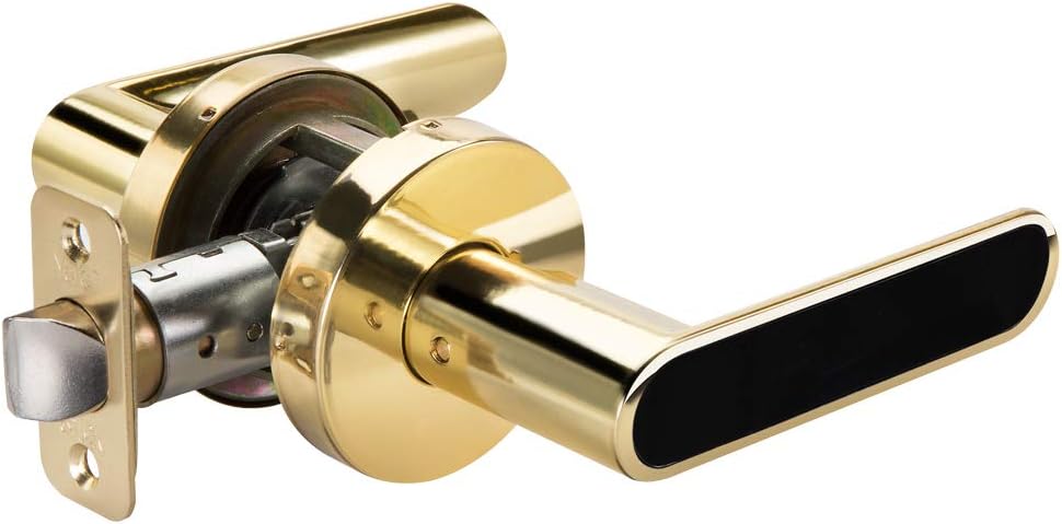 Yale Security D520LK01 Kincaid BK, Oil Rubbed Bronze Privacy Lever Lock