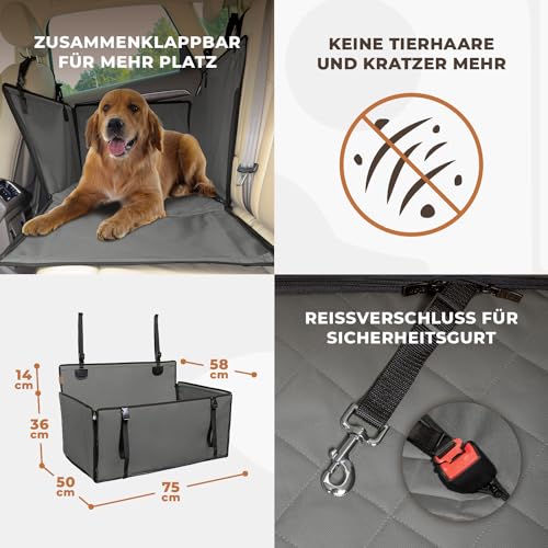 WUGLO Extra Stabiler Hunde Autositz - Verstärkter Autositz für kleine und mittlere Hunde mit 4 Befestigungsgurten - Hochwertiger und wasserdichter Hundeautositz für den Rücksitz im Autos