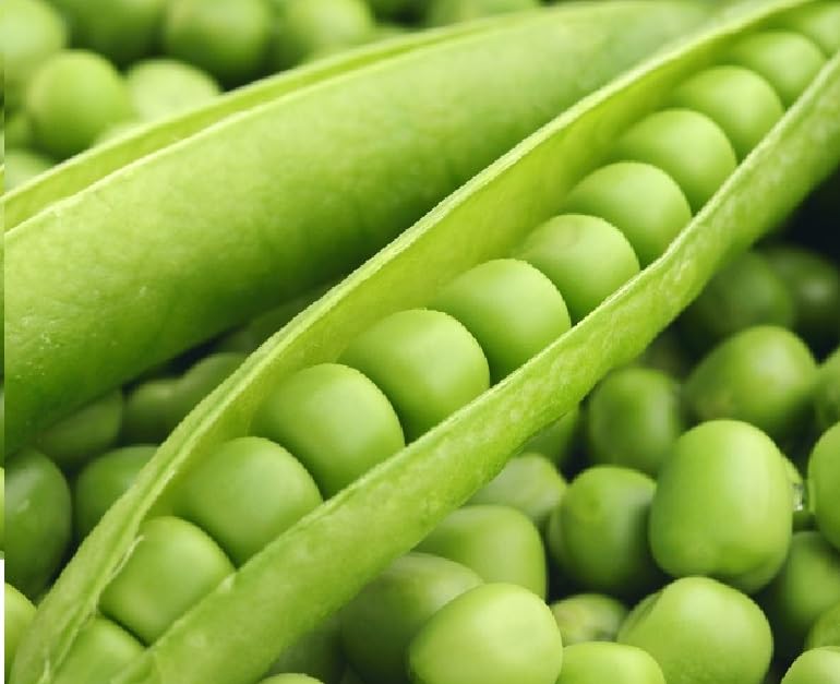Green Peas Seeds Hybrids F1 Vegetable Seeds for Home Garden for Planting for All Season (100 seeds) By Zabbus (B0BHZ679DK) Amazon Price History, Amazon Price Tracker