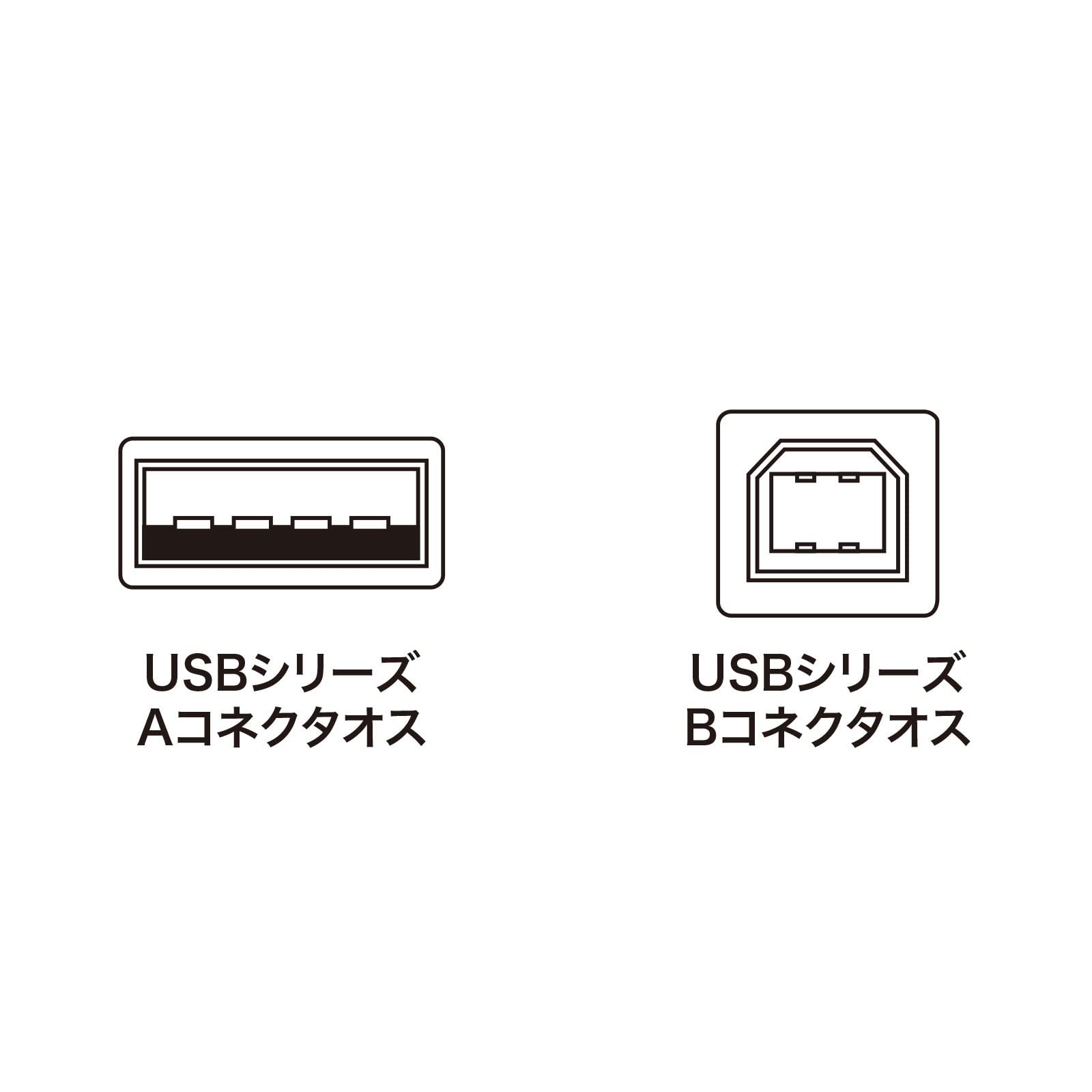 Amazon.com: Sanwa Supply KU20-3BKHK2 USB 2.0 Cable (Black, 9.8 ft