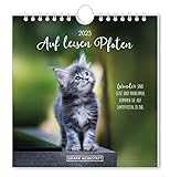 Auf leisen Pfoten 2023: Postkartenkalender