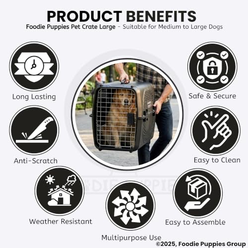 Image of Foodie Puppies Imported Plastic Pet Travel Carrier Cage (66 x 47 x 53 cm, Large) for Medium to Large Dogs & Adult Cats | Portable Transporter Box with Metal Door & Spring Lock