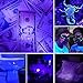 Ledeak UV Flashlight Black Light, Led Ultraviolet Portable Flashlight, Pet Urine Detector Handheld Pocket Blacklight for Invisible Dog Cat Pet Urine, Dry Stains, Bed Bug, Scorpion Hunting, Camping