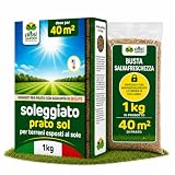 Albagarden - Semi Prato Resistente Alla Siccità - 40m² - Sementi Erba per Tappeti Erbosi p...