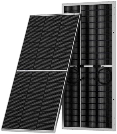 ECO-WORTHY 195W N-Type 18BB Bifacial Solar Panel, 1PC 12 Volt Mon...
