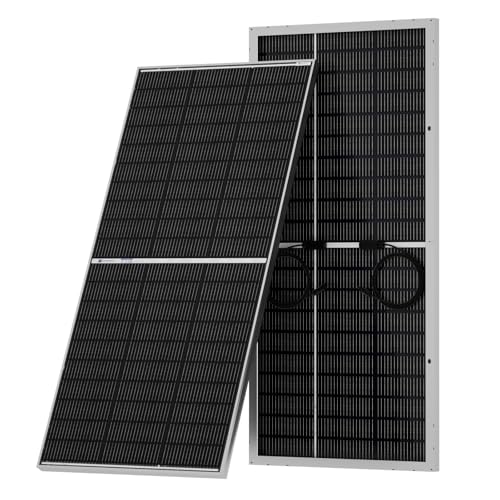 ECO-WORTHY 195W N-Type 18BB Bifacial Solar Panel, 1PC 12 Volt Monocrystalline Solar Panel with 25%...