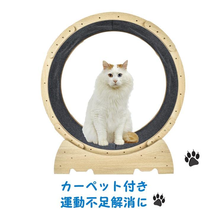 Amazon.co.jp: 雑貨の国のアリス 猫 犬 トレッドミル キャット